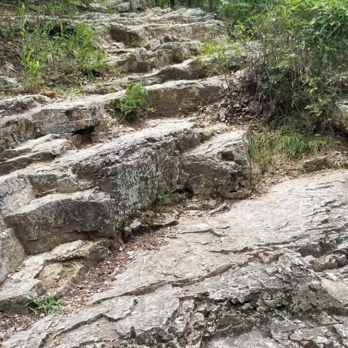 Near Dam Mountain Trail