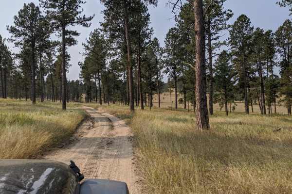 Custer Mountain Cutoff