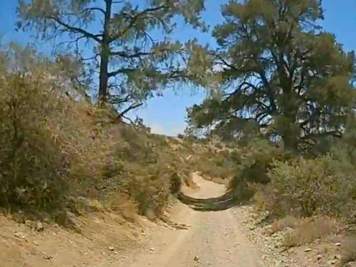 Sterling Canyon Trail photo 4