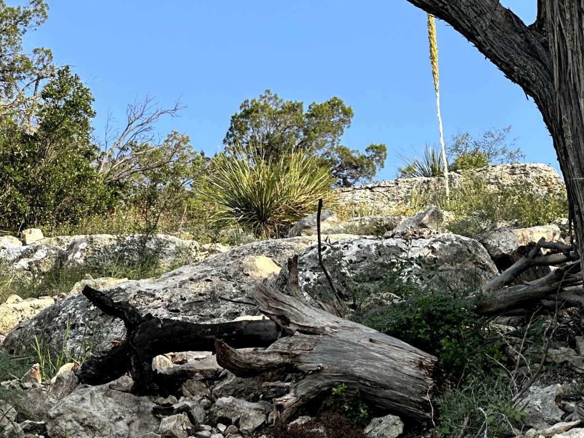 Bounty Hill - V17 photo 6