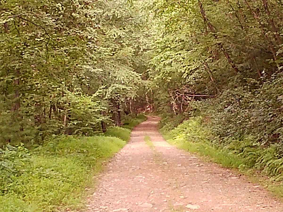 Lick Hollow Road photo 4