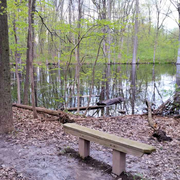 Small lake around the halfway point Near Coral Woods Perimeter
