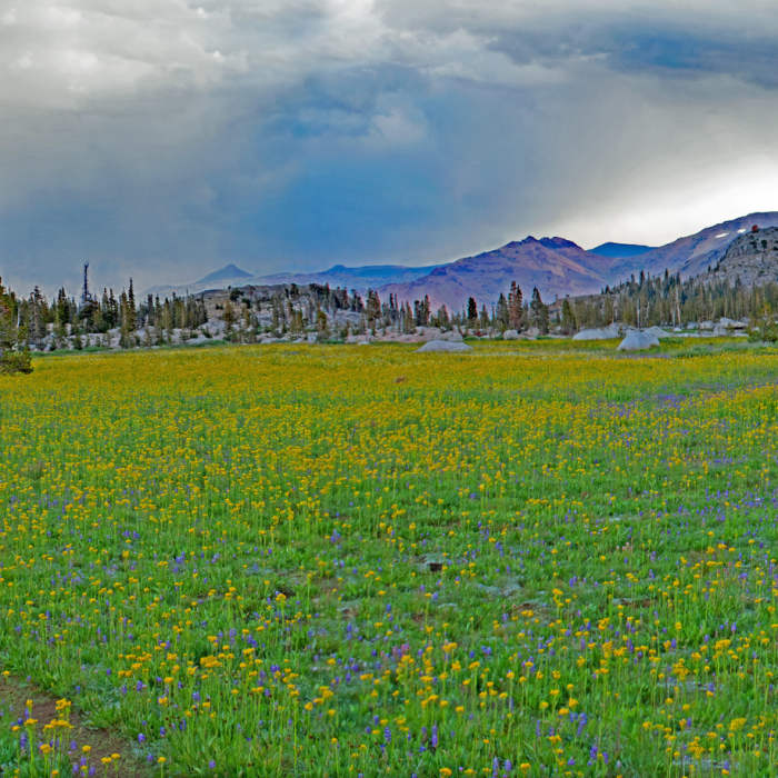 Near Relief Valley Trail
