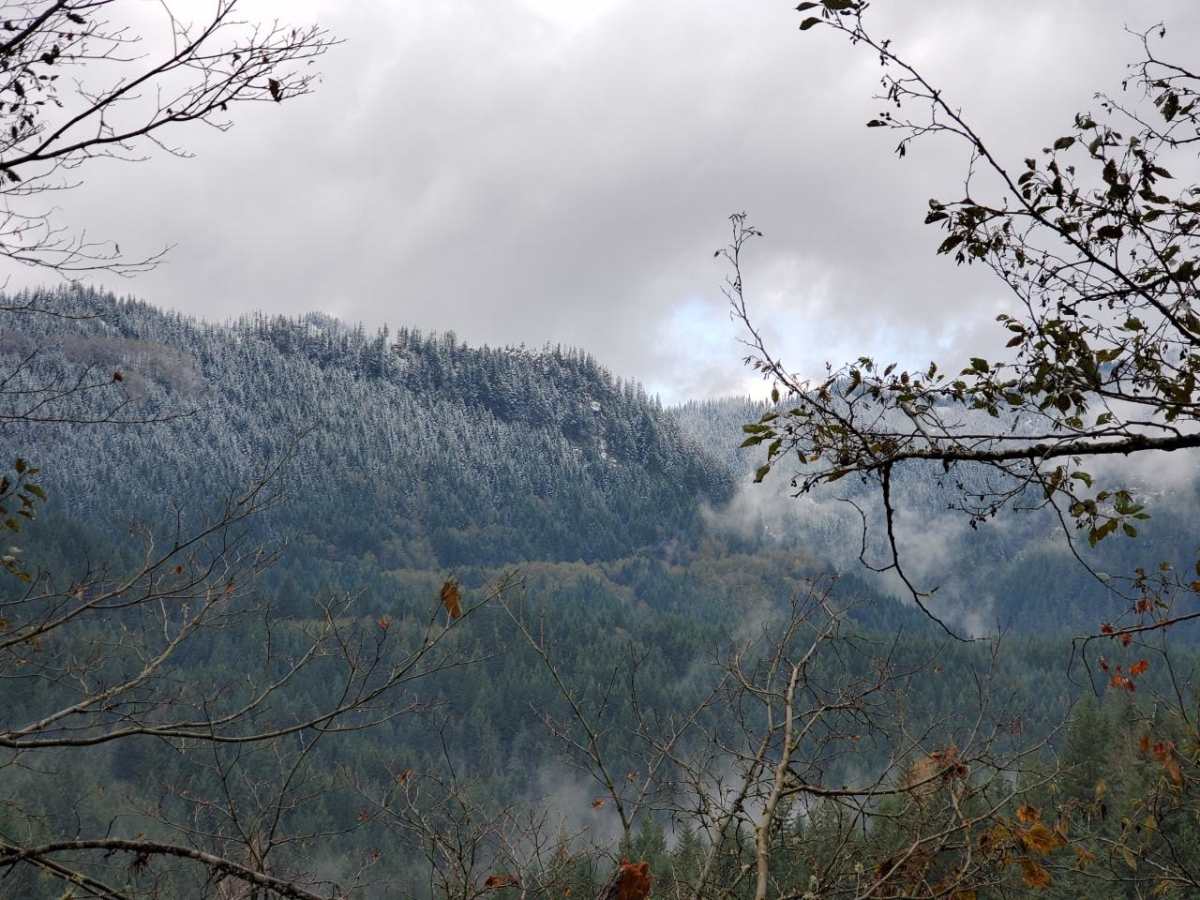 East Creek Overlook photo 3