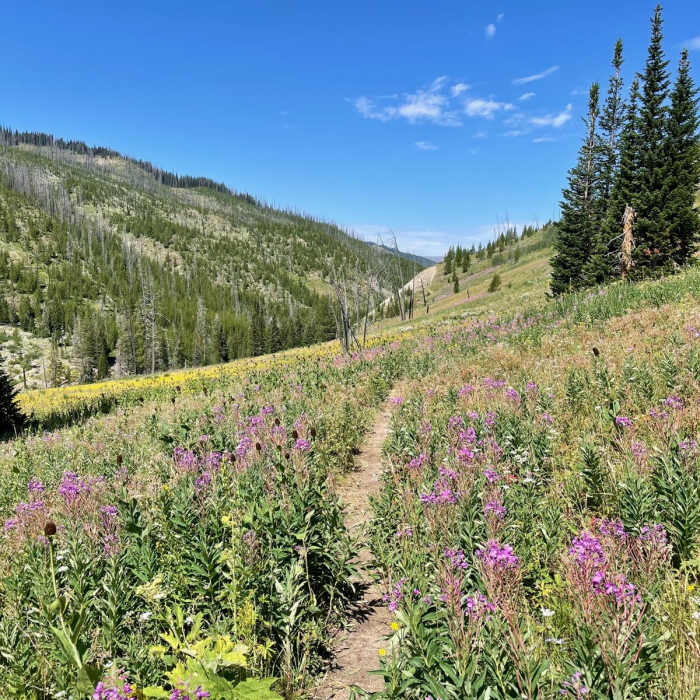 Near Continental Divide Trail: Wyoming Section 20 Near Continental Divide Trail: Wyoming Section 20