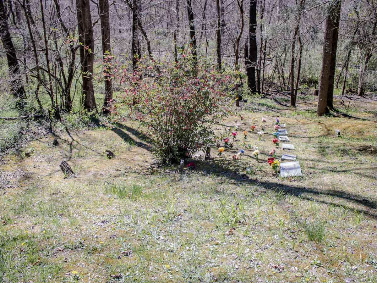Titus Hollow Road photo 5