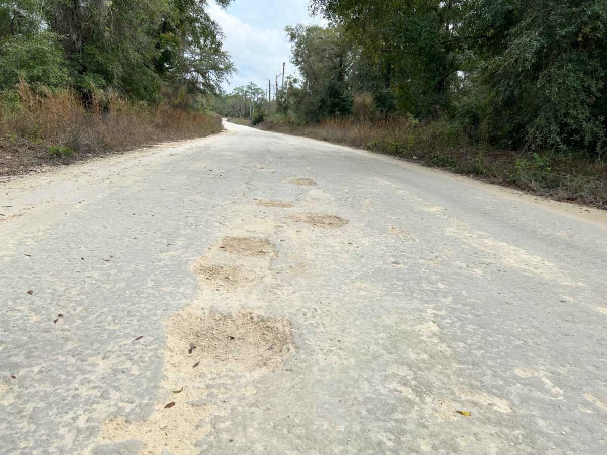 New River Road photo 2