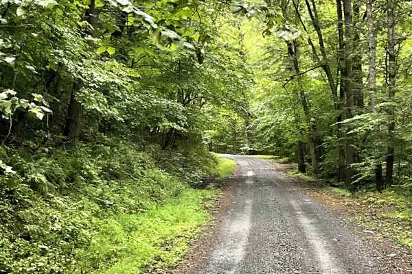 The Knob Road