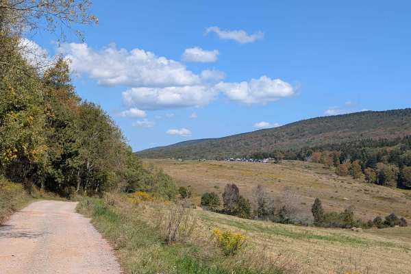 Owl Knob Hollow Connector