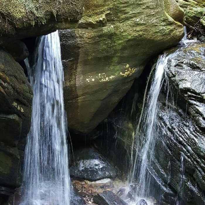 Near Duggers Creek Trail