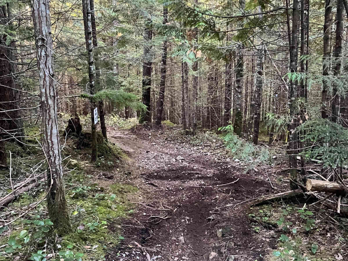 Deep Woods - Skidder Connector photo 4