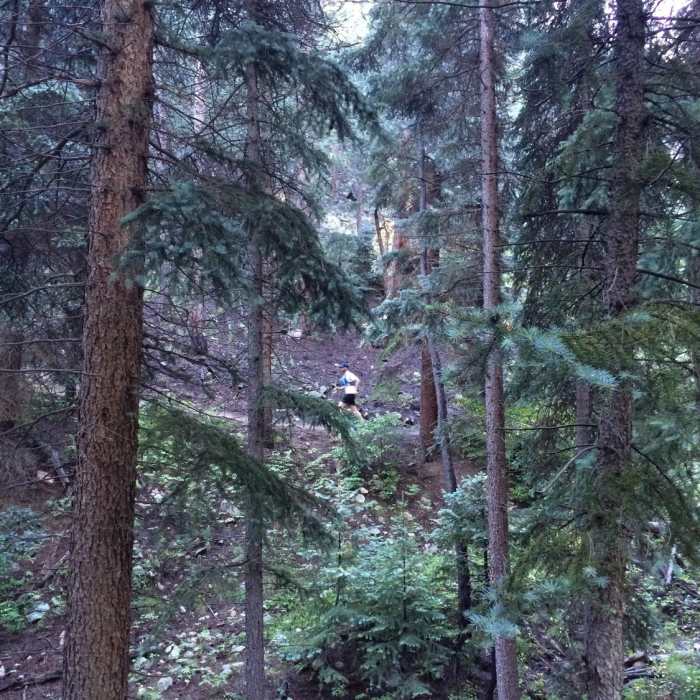 Near Lair o' the Bear Out and Back