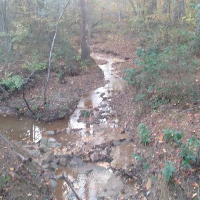 Near Mine Creek Trail