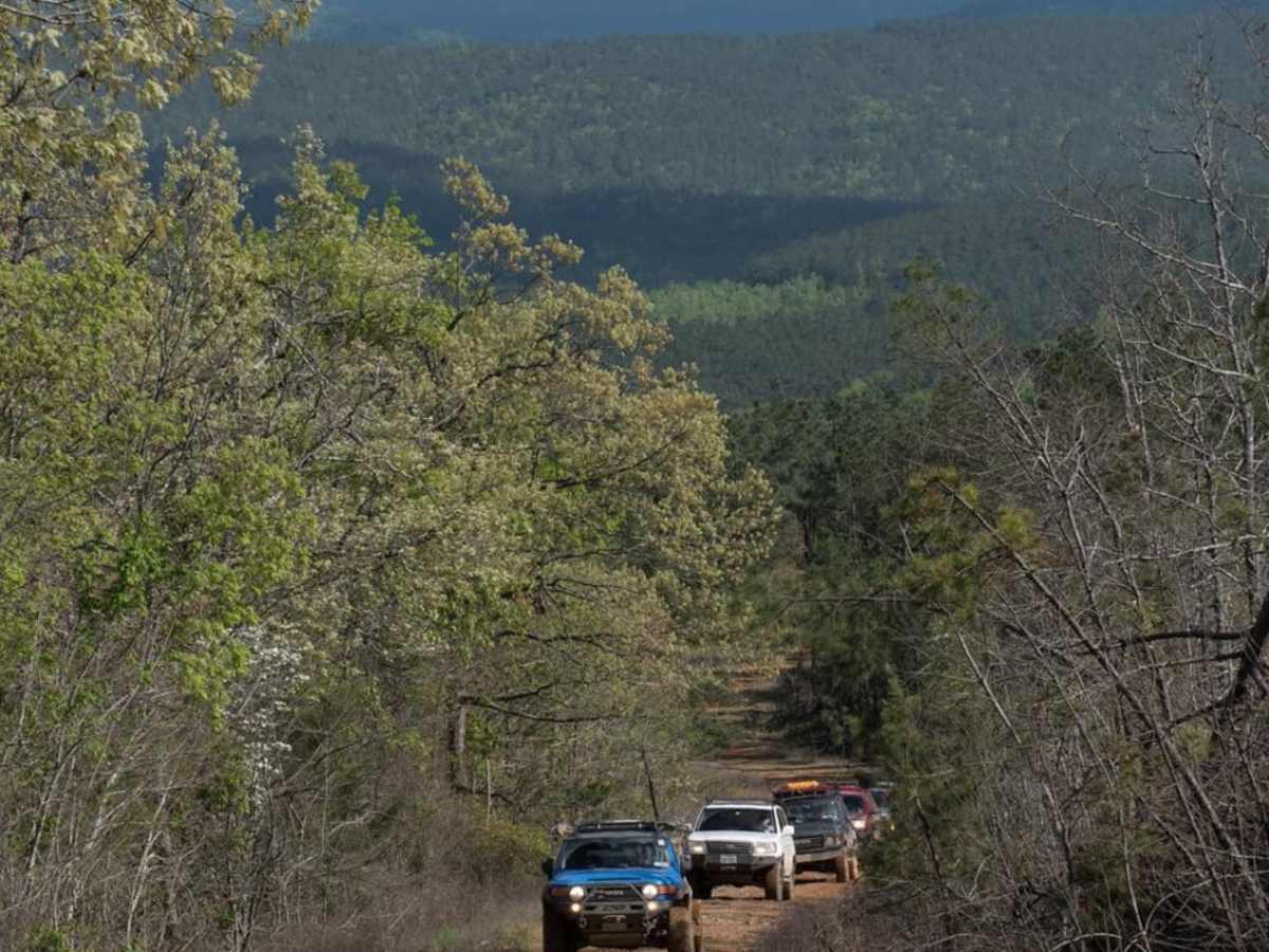 Honobia Creek Scenic Route photo 4