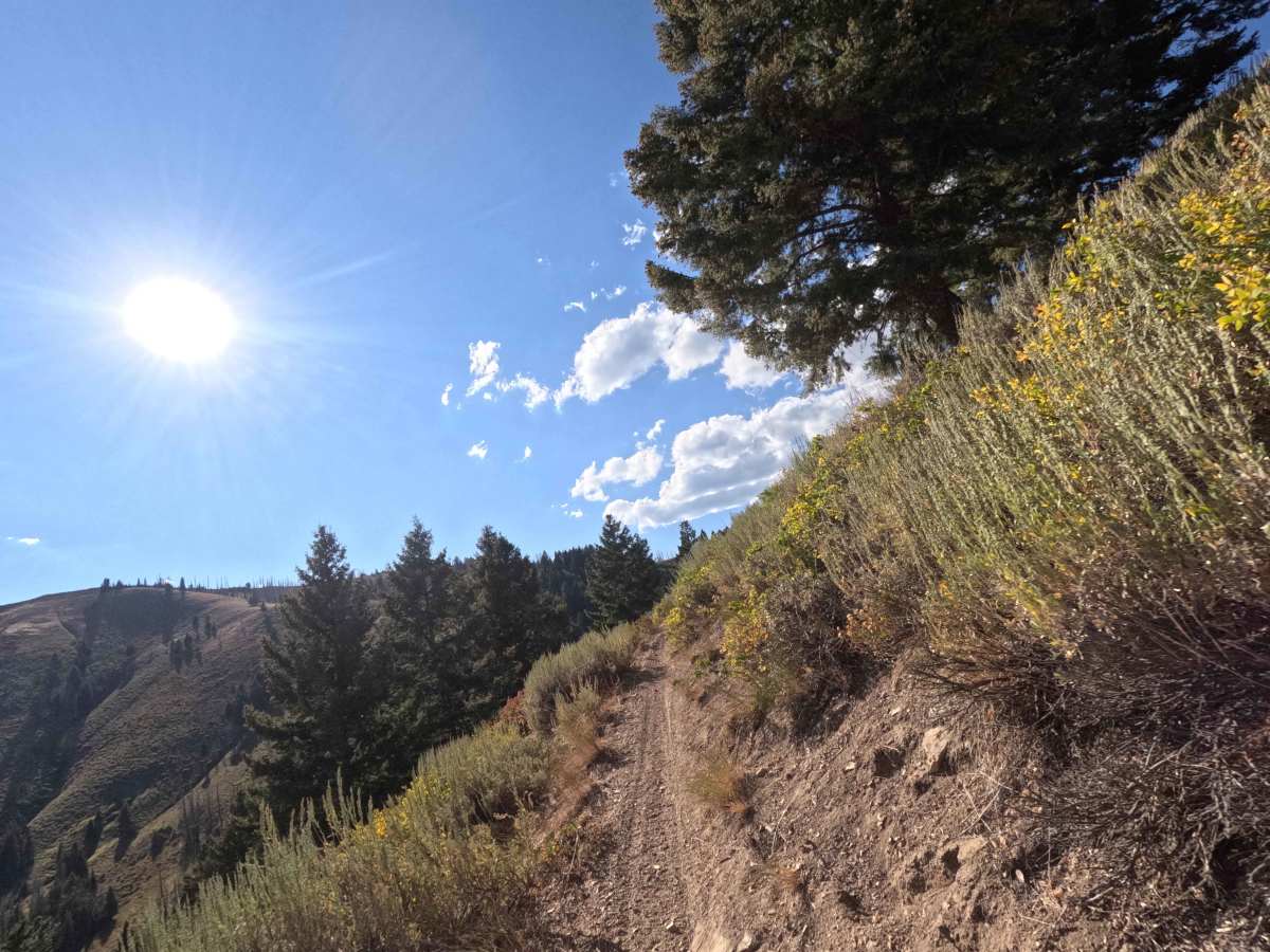 Middle Fork Warm Springs - FS 7150 trail photo