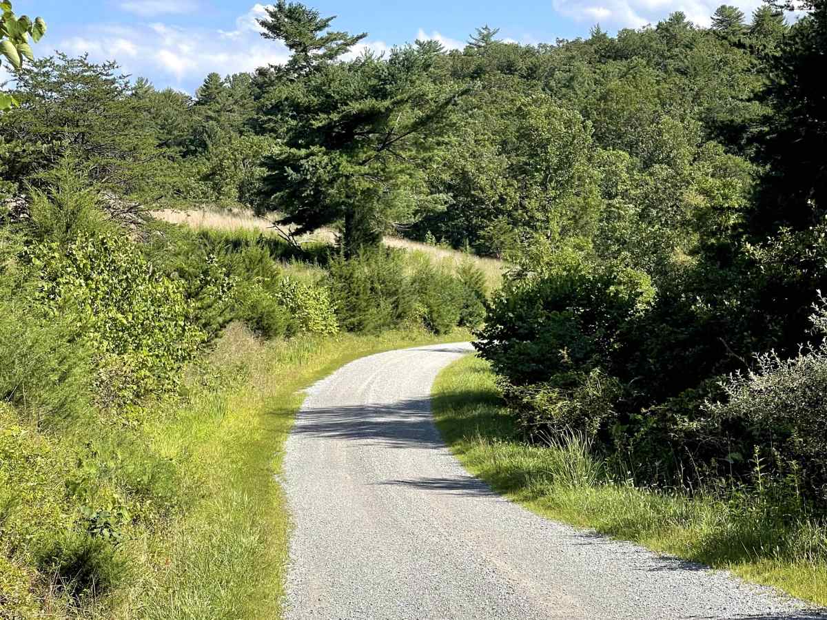 Route 612 photo 2