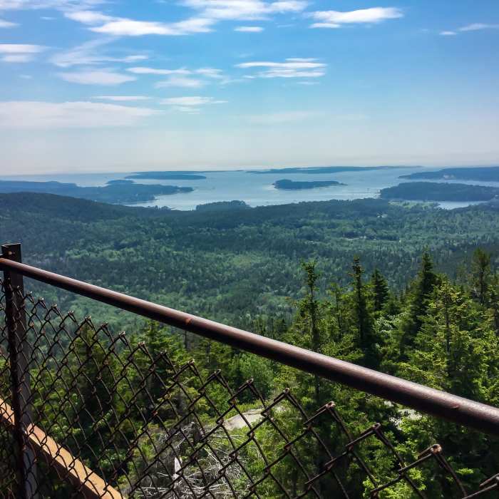 View from Beech Mountain Fire Tower Near Beech Mountain Trail