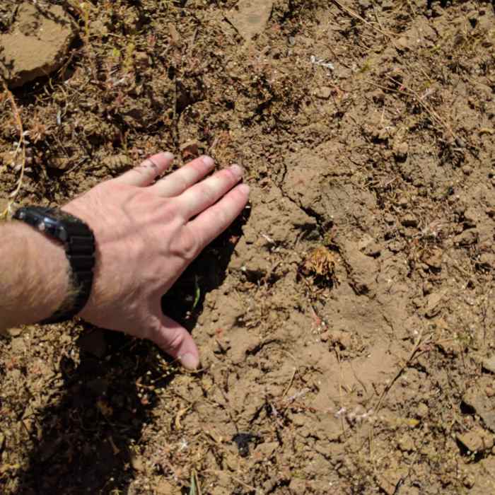 Near Ochoco Mountains Loop: Rock Creek to Black Canyon Wilderness