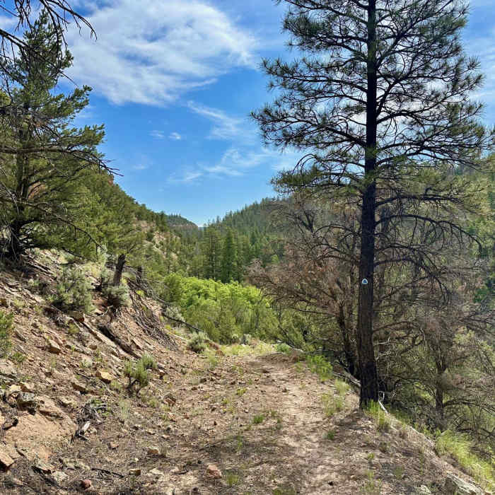 Near CDT: New Mexico Section 28