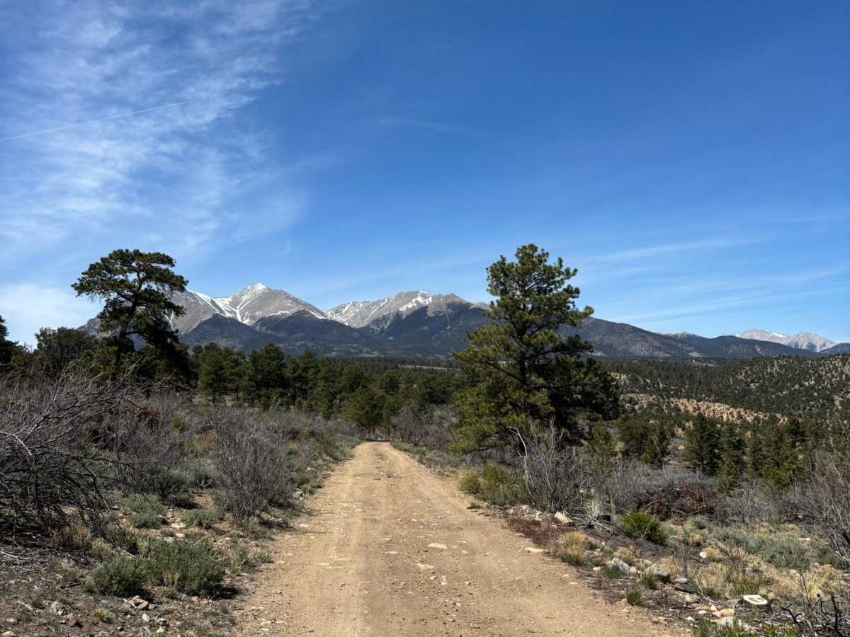 BLM 5630 photo 3