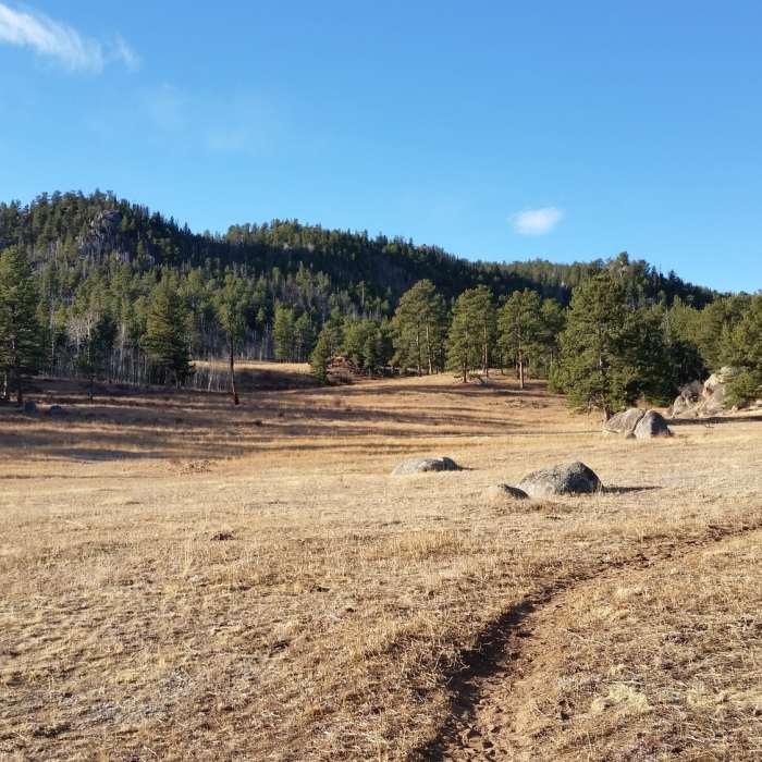 Near Elkhorn Trailhead Loop