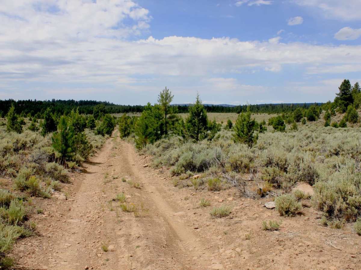 Gravel Ridge trail photo