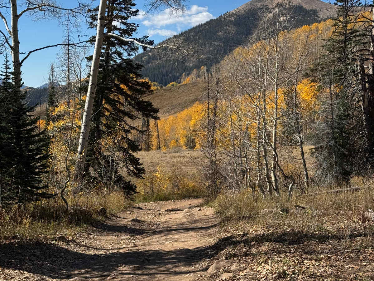 FS 414 trail photo