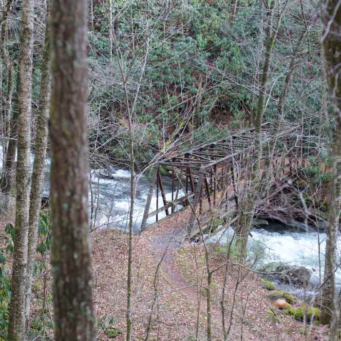 Near Bradley Fork Trail