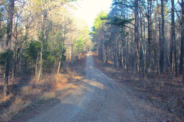 Duffy's Hollow - FS 419