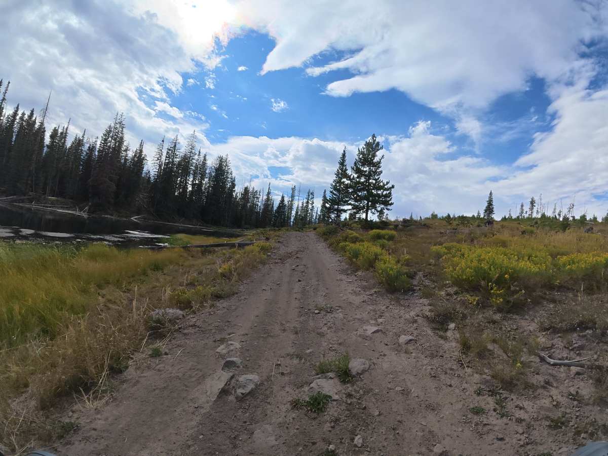 Finger Lake photo 2