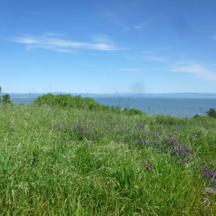 Near China Camp State Park Loop