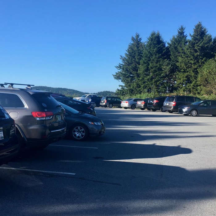 Near Black Balsam Loop via Art Loeb Trail Near Black Balsam Loop via Art Loeb Trail