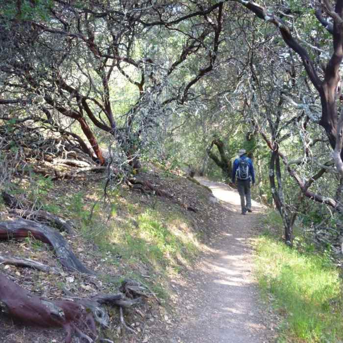 Near Mount Hood via Goodspeed Trail