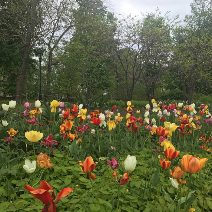 Near Randall's/Wards Outer Loop