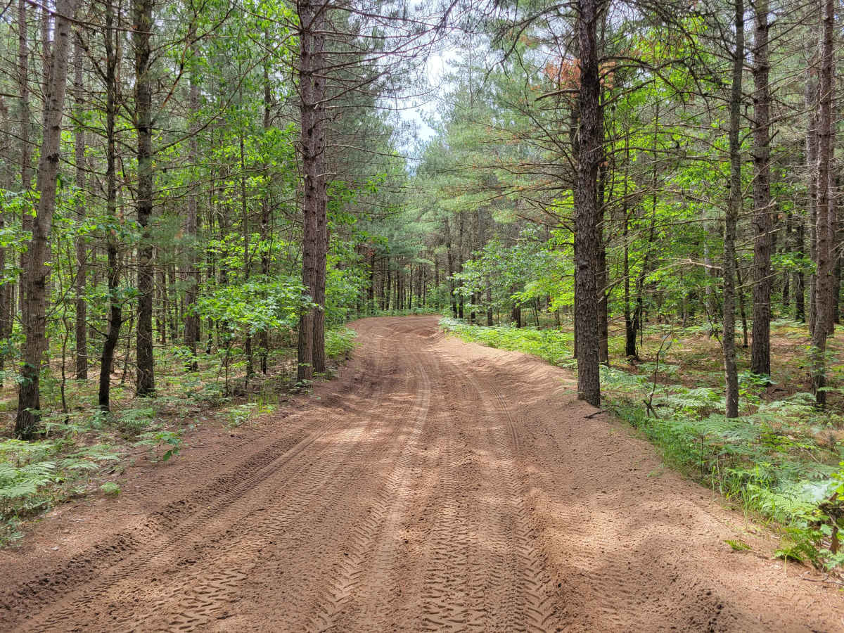 NE Little Manistee Route (344) trail photo