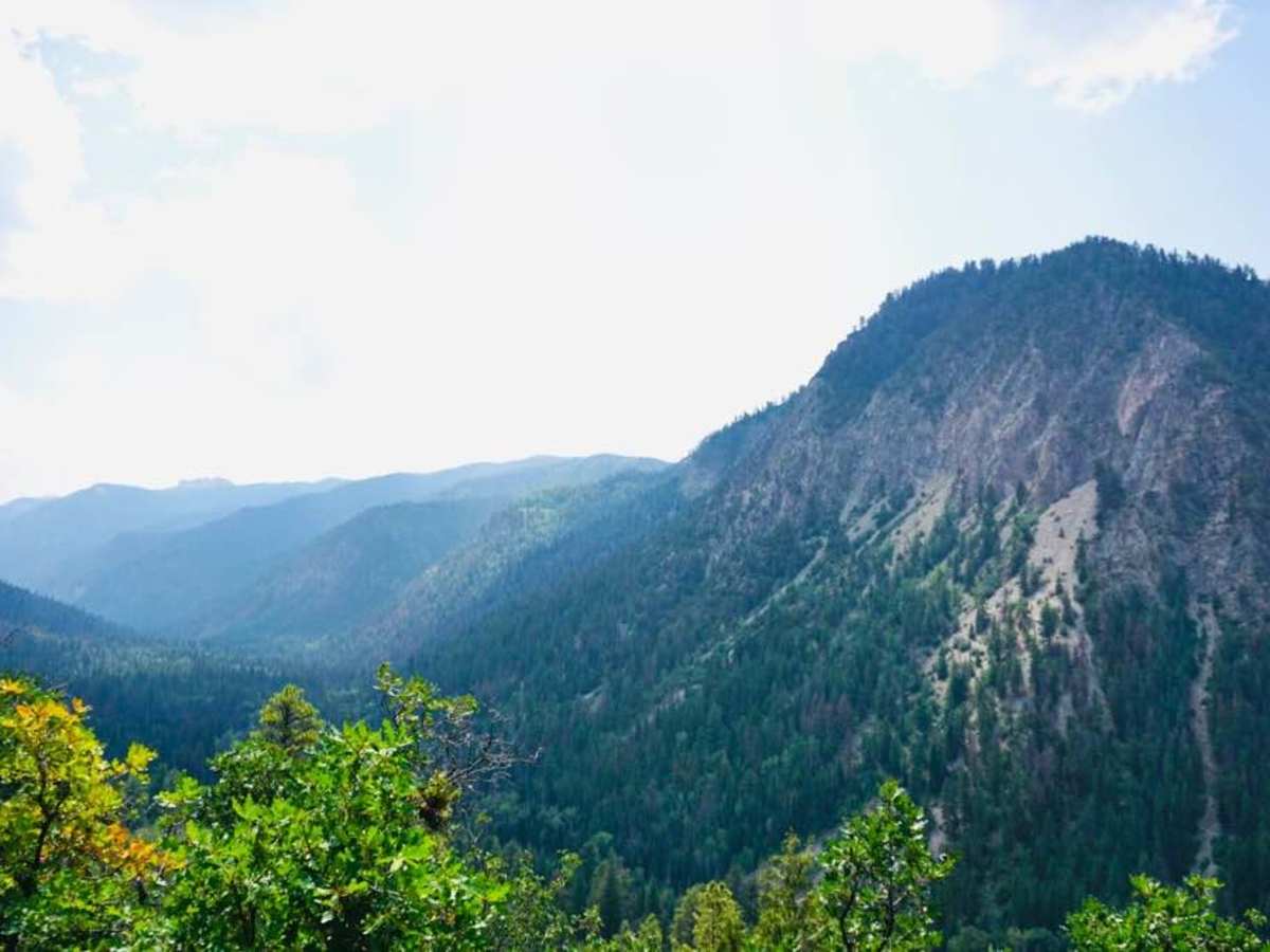 Cow Creek photo 2