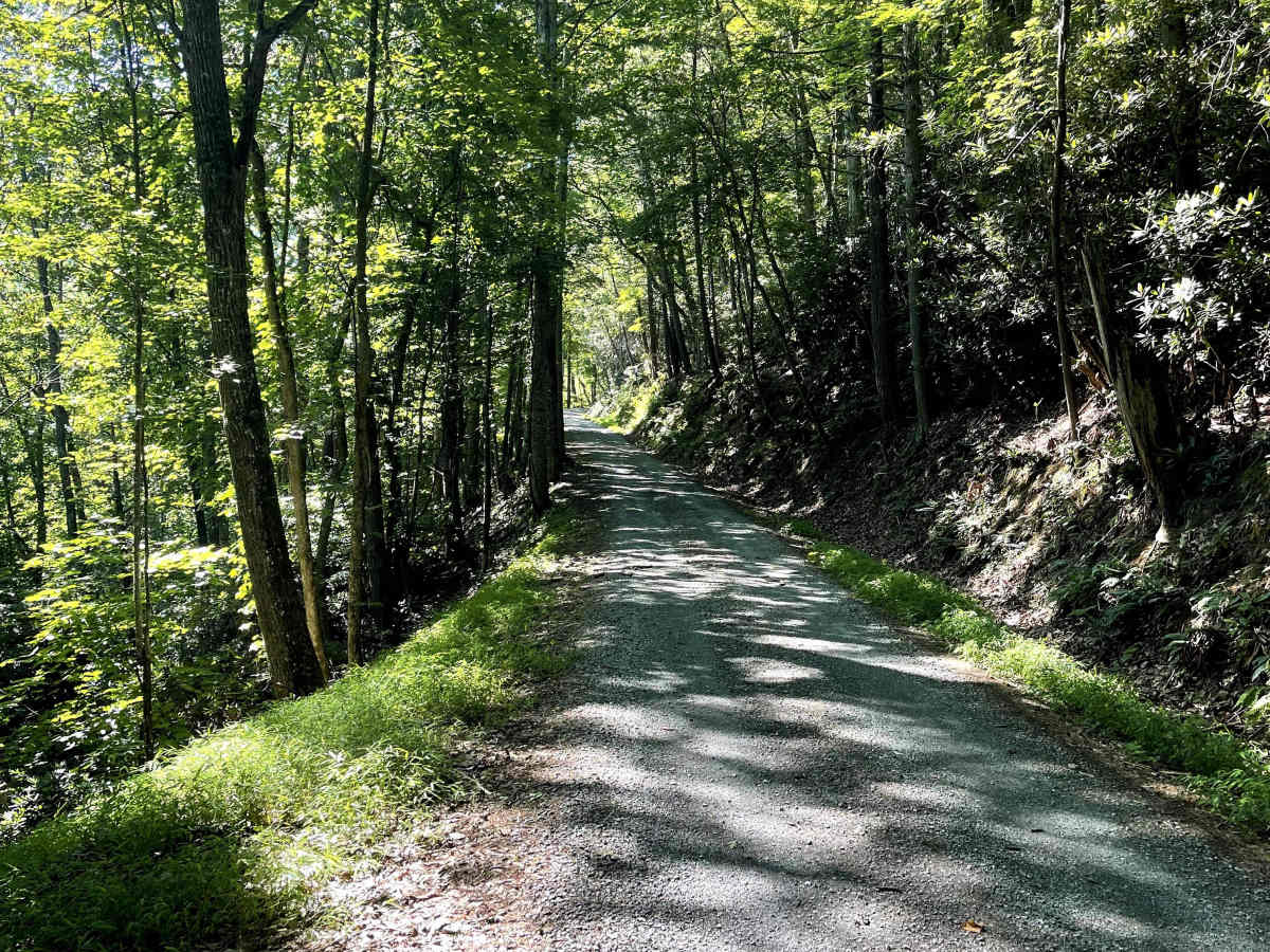 Hale Lake Road photo 2