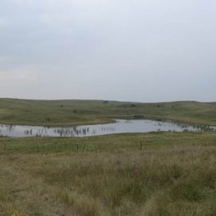 Near Lostwood Refuge Prairie Hiking Trail