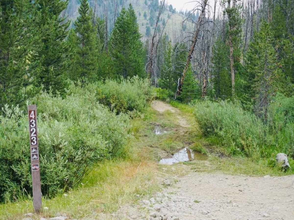 Kelly Creek photo 5