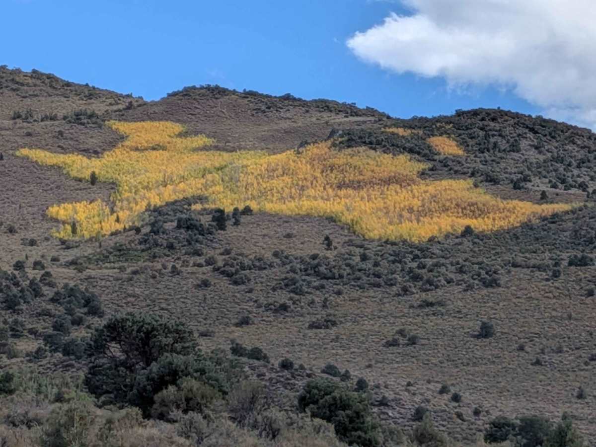 Cottonwood Meadows Road - FS 32106 photo 5