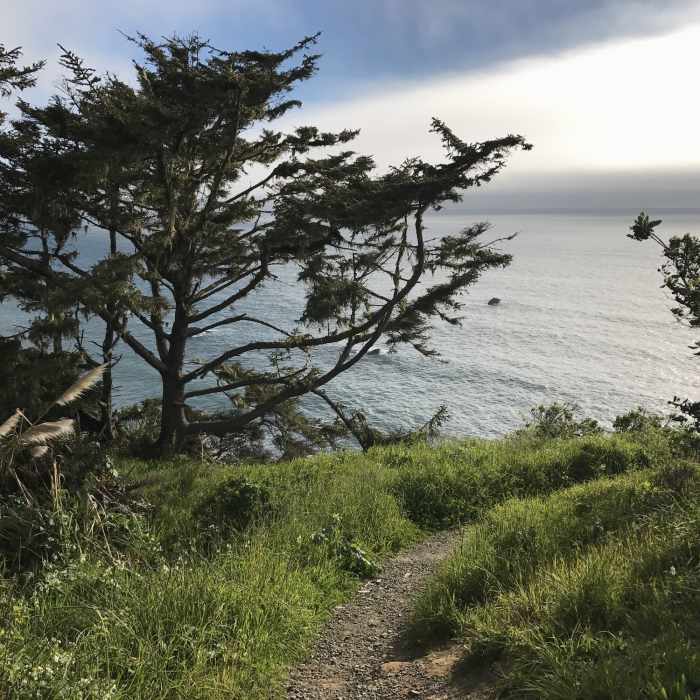 Near Patrick's Point Loop