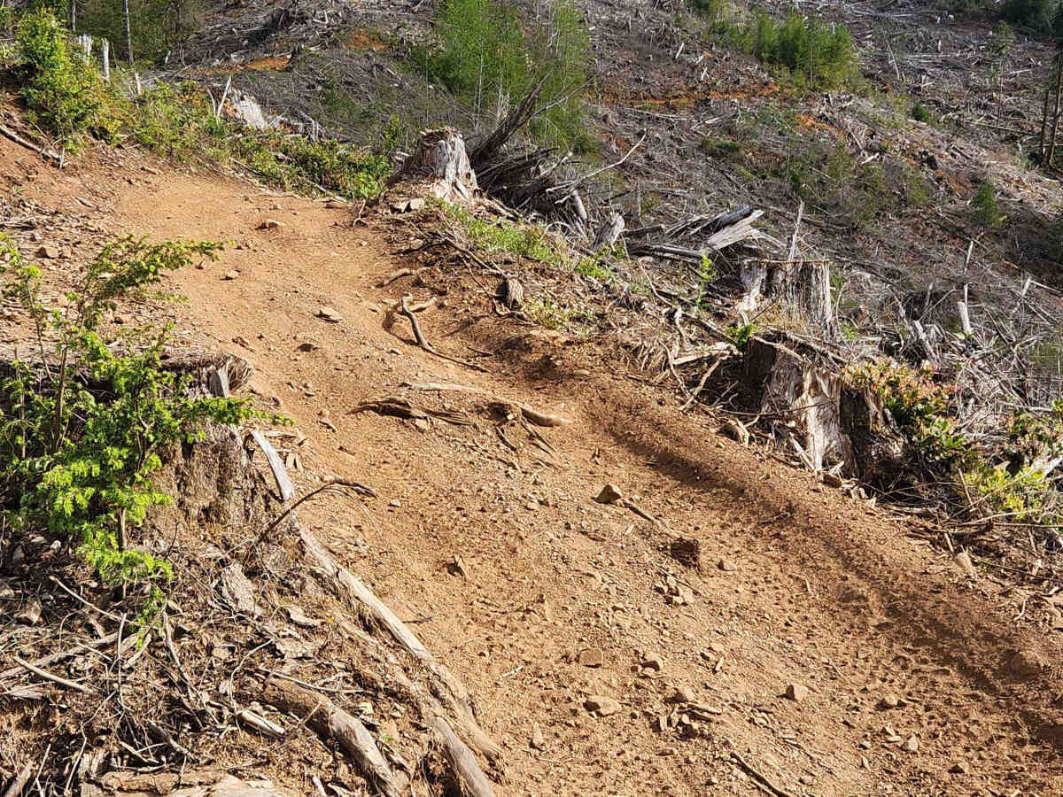 Rock Candy Trail photo 6