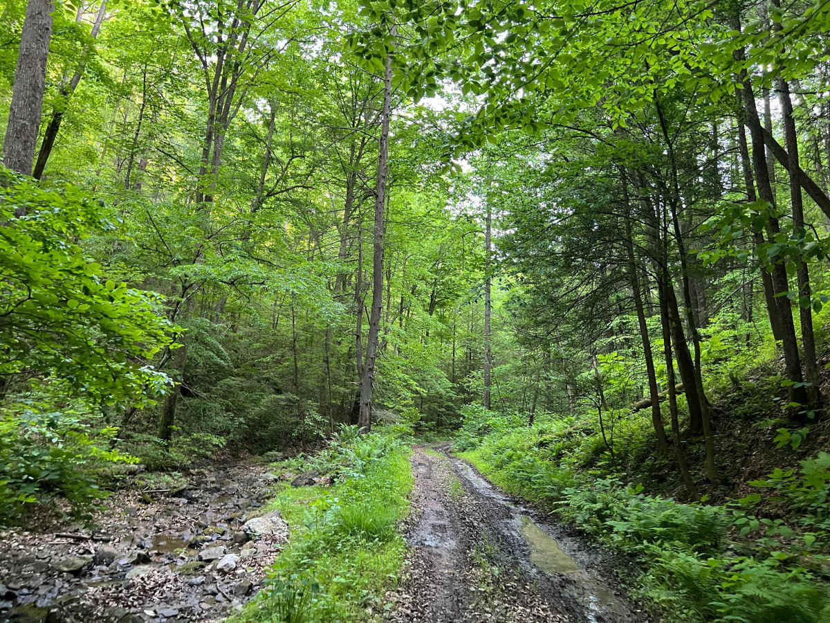 KC14 trail photo
