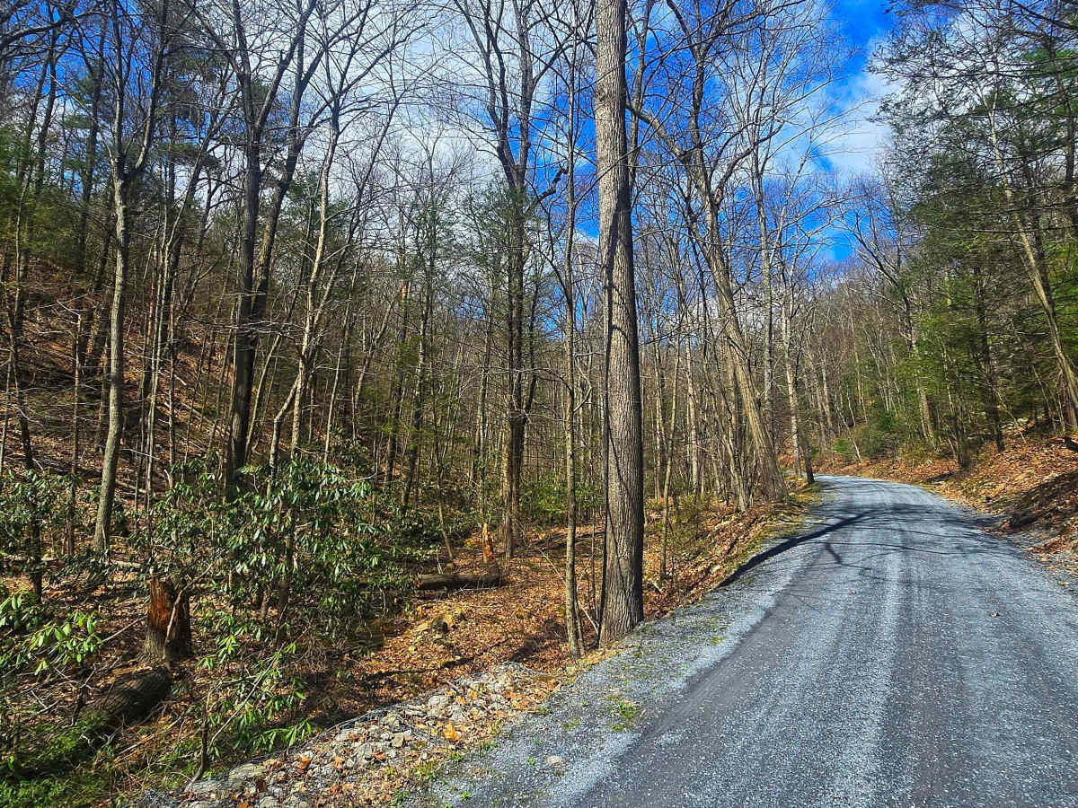 Wirt Road photo 6