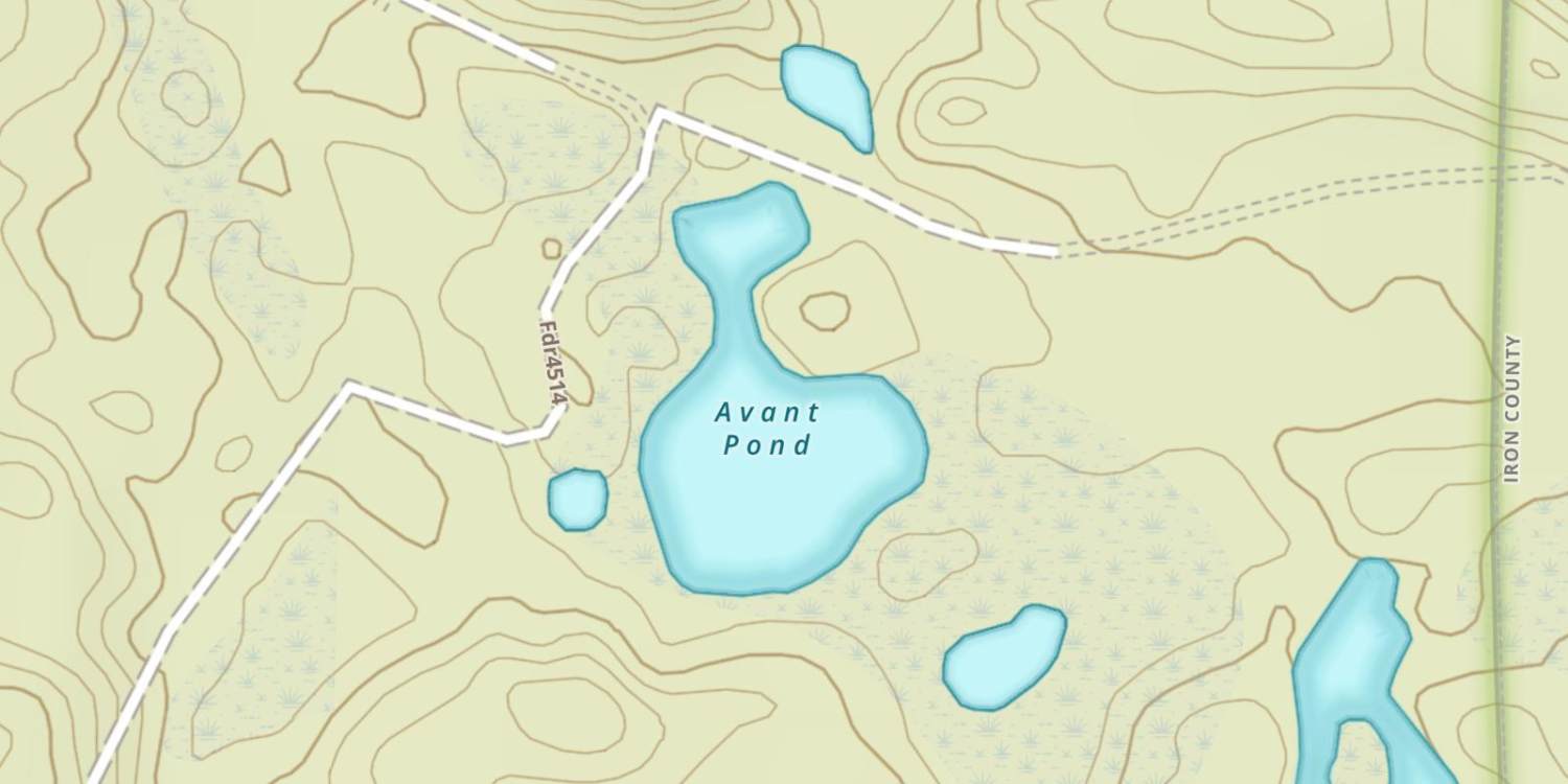 Avant Pond