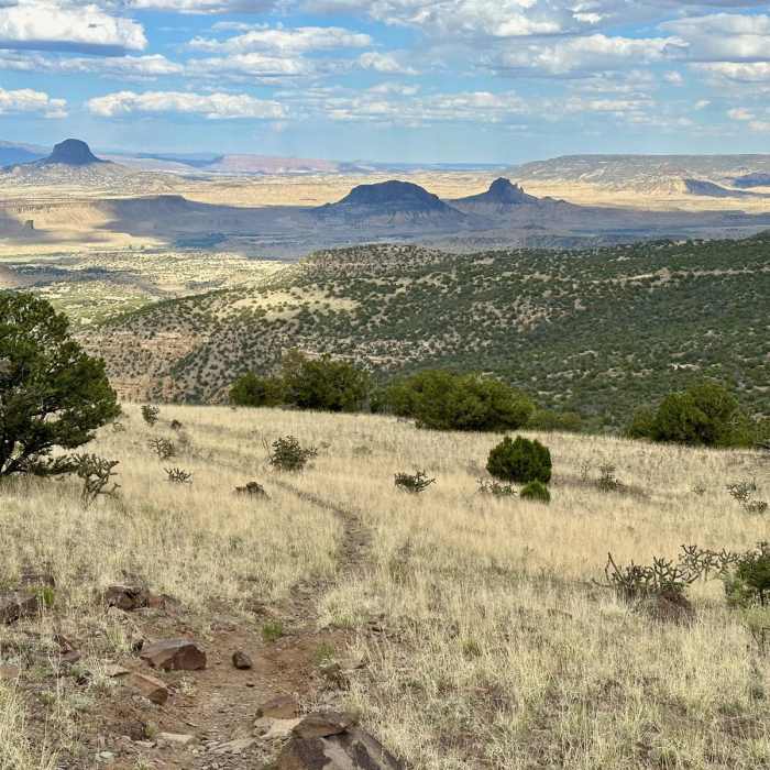 Near CDT: New Mexico Section 23