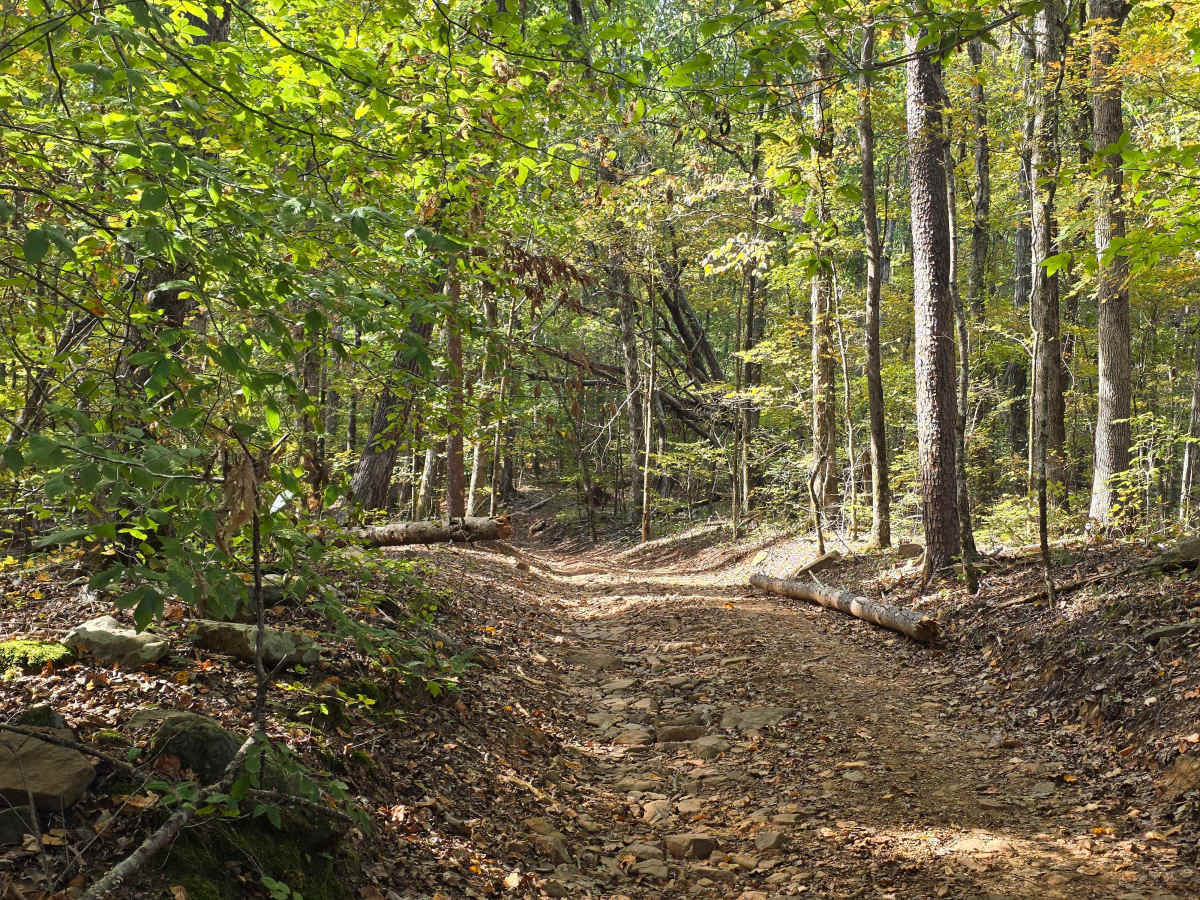 Hardwood Hollow photo 2