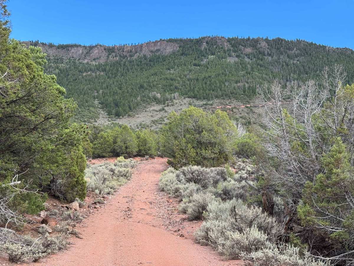 BLM 2723 photo 5