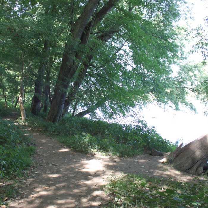 Near Scott's Run Nature Preserve