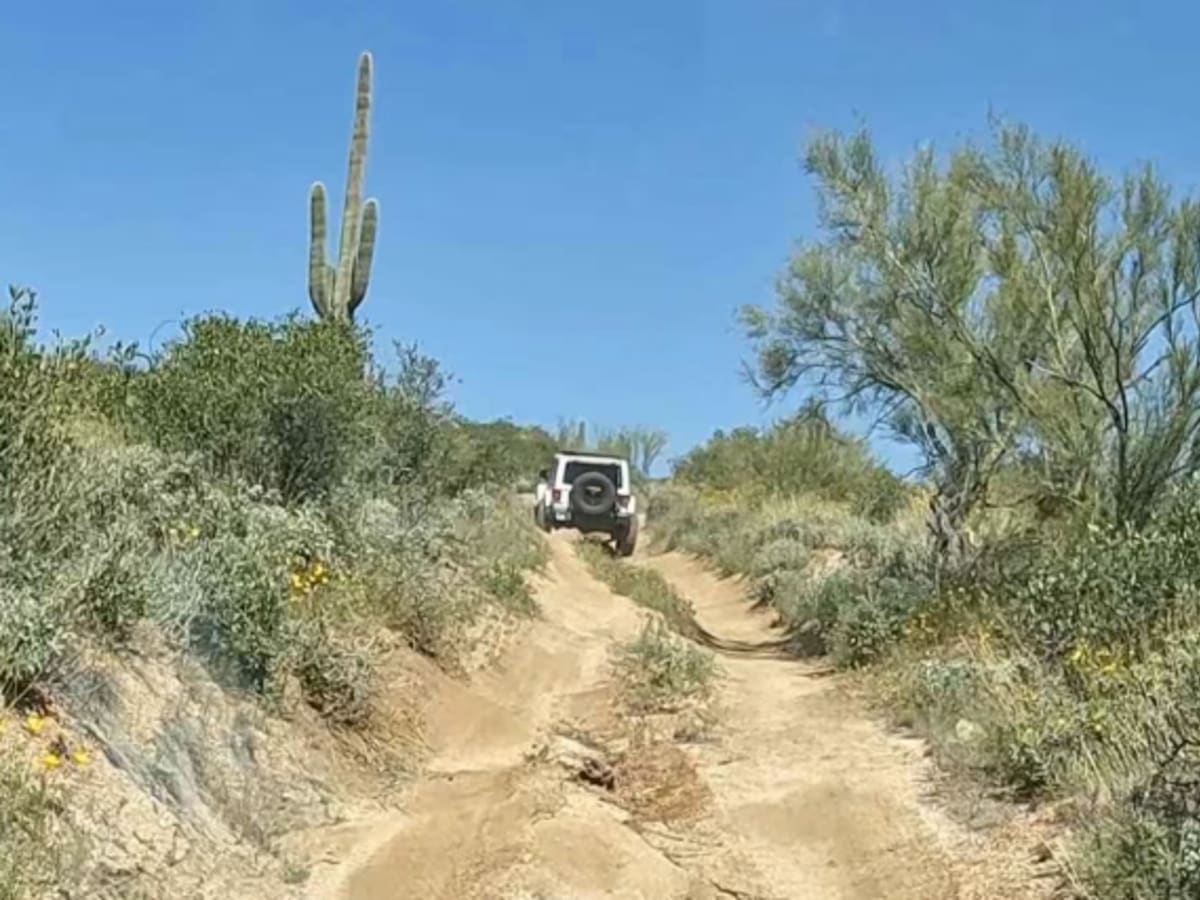 Telegraph Line Trail (MT-42) photo 2
